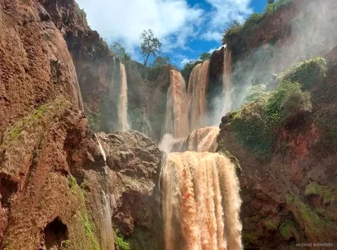 Guide privé dans un village berbère près des Cascades d'Ouzoud