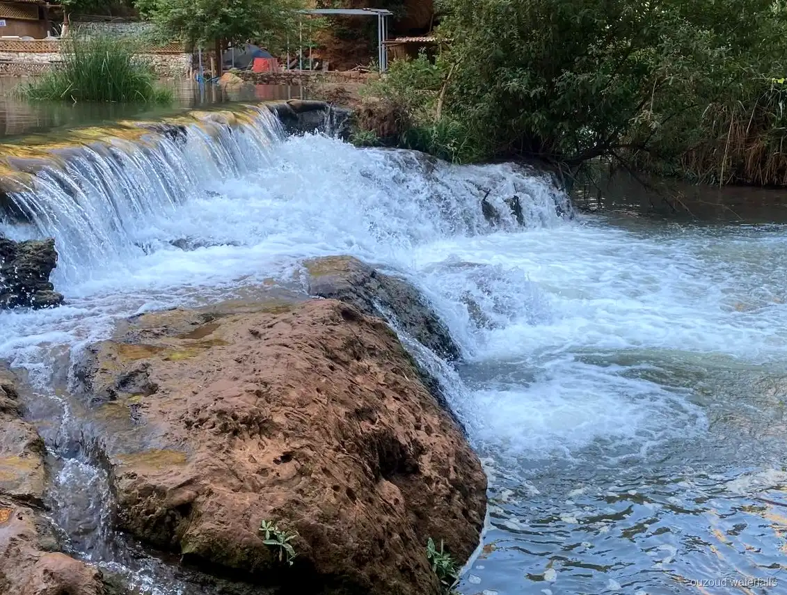 Olive grove path visited on the private luxury Ouzoud Waterfalls tour