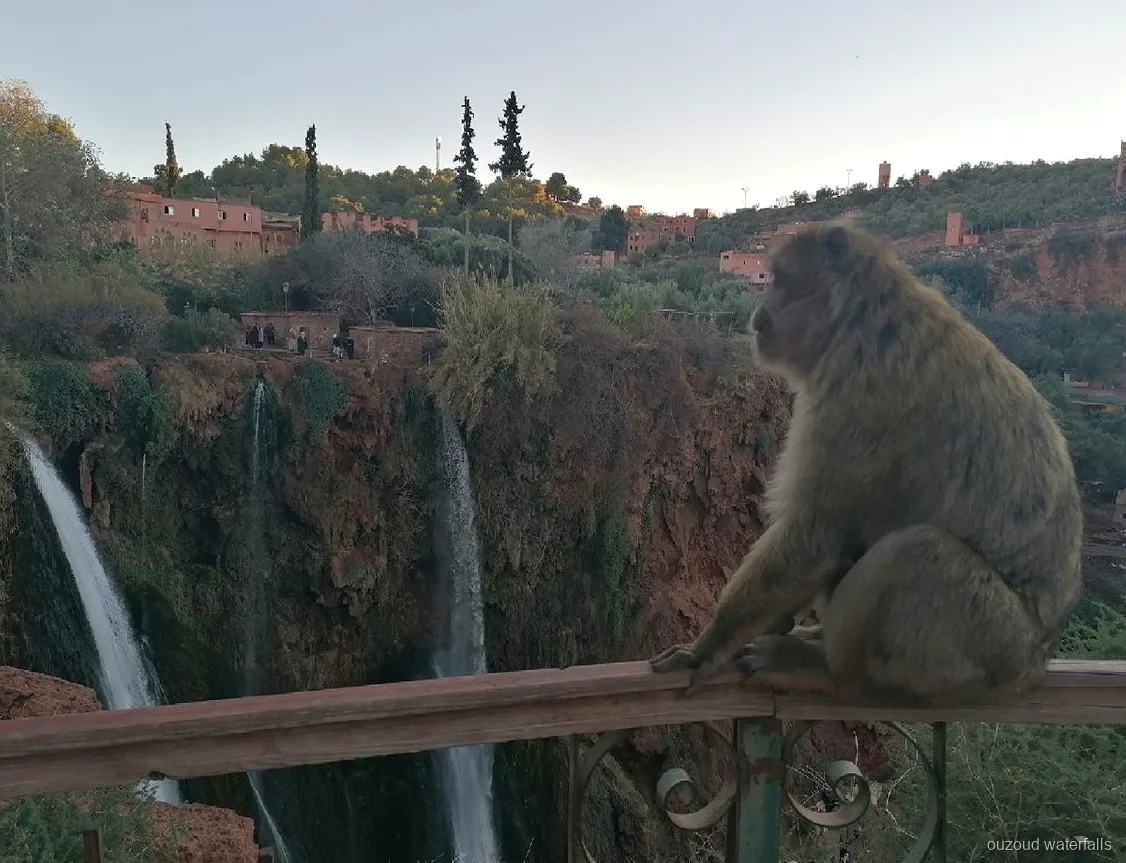 Small group hiking the trail down to Ouzoud Waterfalls from Marrakech